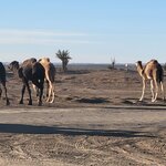 Photo taken by Laura S