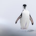 Photo taken by SANDRA V