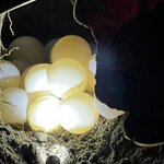 Photo taken by Jaya C