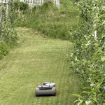 Photo taken by fred y