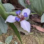 Photo taken by Shanthi V