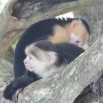 Photo taken by Brett F