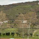 Photo taken by Ashley B