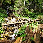 Photo taken by Kim R