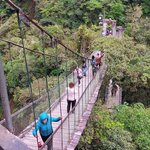 Photo taken by Lisa T