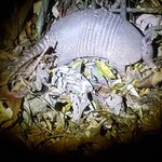 Photo taken by Mark S