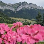 Photo taken by Lyon K