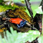 Photo taken by Brett F