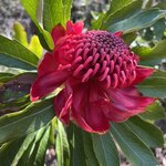 Photo taken by Rosemary S