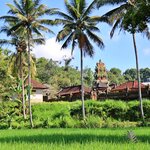 Photo taken by Laurence S