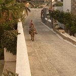 Photo taken by Geoff B