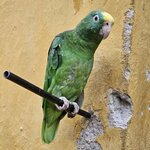 Photo taken by Peter F