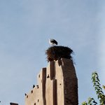 Photo taken by Margi S