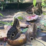 Photo taken by Keyla A