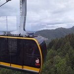 Photo taken by Mary S