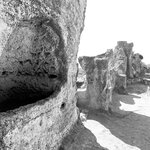 Photo taken by Bailey R