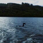 Photo taken by Robert W