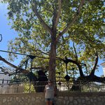 Photo taken by gail m