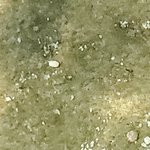 Photo taken by Patricia K