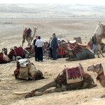 All aboard in the Sahara | Photo taken by John B
