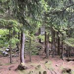 Photo taken by Katie C