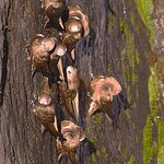 Photo taken by Dennis H