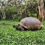 Photo taken by Lisa T