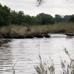 Photo taken by Kolla S