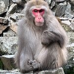 Photo taken by Paul R