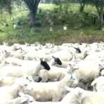 Photo taken by susan s