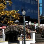 Photo taken by Dee C