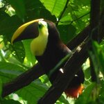 Photo taken by Brett F