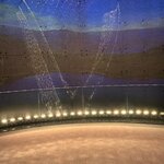 Photo taken by Ellen D