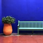 Jardín Majorelle | Photo taken by Rose A