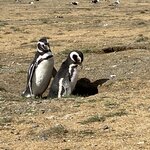 Photo taken by Carmen P