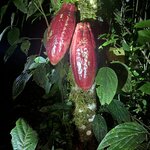 Photo taken by Nina S