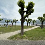 Photo taken by Frank S