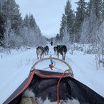 Photo taken by KRISTIN T