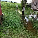 Bringing home the tarrow | Photo taken by Rodney S