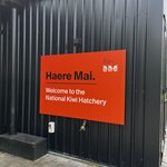 Photo taken by Judah J