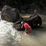My favourite activity was bathing an elephant | Photo taken by Bonnie S
