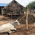 Photo taken by Cynthia C