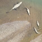 Photo taken by Steven P