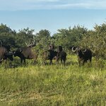 Photo taken by Michael Z