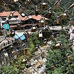 Photo taken by Brenna M