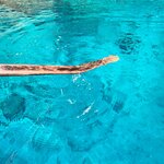 Photo taken by Amanda F