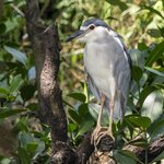 Photo taken by John Mark W