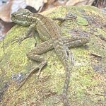 Photo taken by Kim L