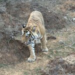 Photo taken by Jason M