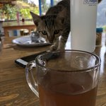 Photo taken by matthew h